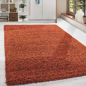 Shaggy hoogpolige tapijt Soft woonkamer tapijt kleur Terra bruin, Groote:200 cm Ronde