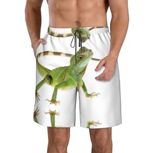 Rustieke Oude Schuur Hout Print Heren Zwemmen Board Shorts Zwembroek Trunks Badmode Sneldrogende Surfen Strand Essentiële Zomer, Hagedis Hd, XXL