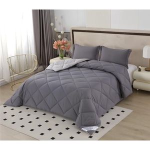 NORA HOME Omkeerbaar dekbed voor bed van 135 cm, grijs, zeer hoog 4,5/5, 400 g/m², 3D-vezel, anti-mijt, antibacterieel, dekbed voor de winter, 235 x 260 cm, Öko-Tex-gecertificeerd, tweekleurig
