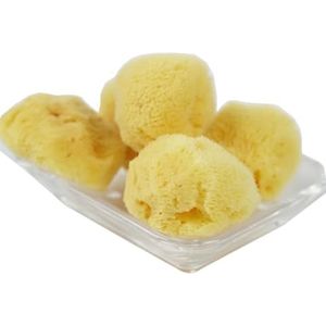 VZZCGJVT Montessori natuurlijke gezichtsreinigingsspons, Dagelijks leven onderwijshulpmiddelen, schoonmaakbenodigdheden en accessoires, 3 stuks