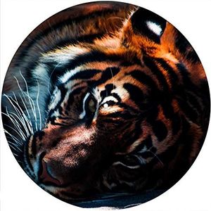 Slipmats Slipmat vilt voor elke 12"" LP DJ vinyl draaitafel platenspeler aangepaste afbeelding - Cat Tiger 2