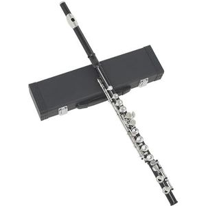 Fluit 16-gaats fluit houtblazersinstrument BK C-sleutel messing fluit met doos instrumentaccessoires