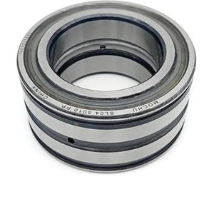 SSDXFJZR 1 stuk SL04 5010 50X80X40 SL045010 E5010N 5010 ADB-2LSV cilinderrollager voor volledige aanvulling (SL04 5010 PP)