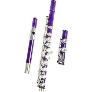 Fluit 16-gaats gesloten gat fluit C-sleutel Professionele zilveren fluit Muziekinstrument Fluitkoffer Zorg Stok Handschoenen Accessoires (Color : Purple)