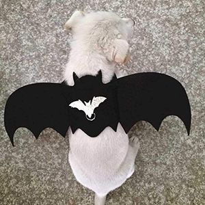 Kostuum vleermuisvleugels huisdier hond kostuum vampier vleugels Batman cosplay wandelen harnas vest borstband harnas fancy dress kostuum outfit vest decoratie voor feest festival Halloween (S)