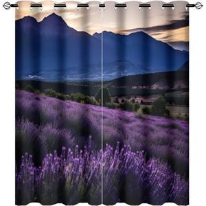 AEMYSKA Vintage lavendel thermisch geïsoleerde tule verduisterende gordijnen paarse bloem rustiek landschap kamer verduistering warmte-isolerende gordijnen gordijnen voor slaapkamer 2 panelen