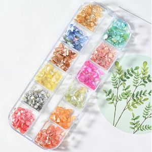 12 roosters/doos onregelmatige abalone natuurlijke schelp nagelvlokken 3D Aurora nagel schelp vlokken DIY 1 * doos manicure natuurlijke abalone schelp-PH030