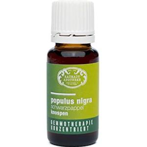 RATHAUS APOTHEKE WIEN geconcentreerd knopextract - Gemmotherapie - Populus nigra - De zwarte populier - 15 ml
