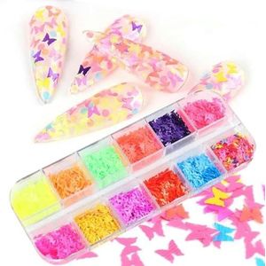 6/12 Grids/Set Onregelmatige Nagels Abalone Schelp Slice Natuurlijke Mica Steen Fragment Polish DIY Manicure Paillette Decoraties-12 Grids YHD