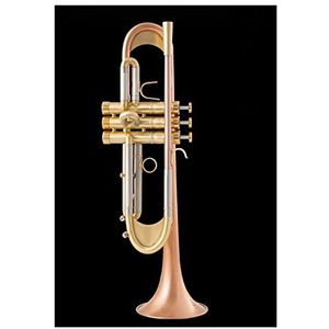 Koperen studententrompet Bb Trompet Gouden Lak Verzilverd Trompet Messing Muziekinstrumenten Composiet Type Trompet (Color : 3/4)