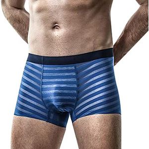 6131 Boxershorts voor heren, doorzichtig, 3 stuks, sexy, ademend, ondergoed voor heren, zacht kant, transparant, ademende onderbroek, boxershort, blauw (a), L