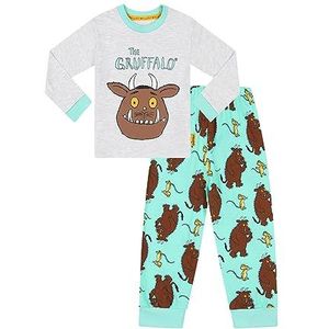 Gruffalo The Jongens Meisjes Korte Katoenen Kinderpyjama Set, Grijs, 5-6 jaar