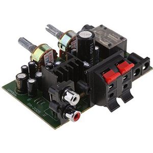 12V Power TDA2005 Dual Channel Digitale Versterker Board Microfoon Stand