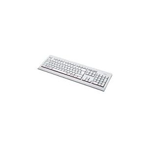 Fujitsu KB521 toetsenbord USB Duits, Engels Grijs