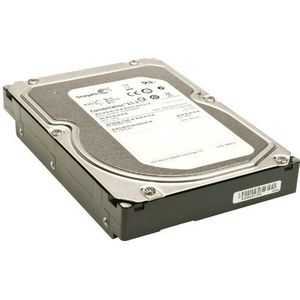 Seagate Constellation ES 1 TB 3,5 inch 1000 GB SAS - interne harde schijven (3,5 inch, 1000 GB, 7200 tpm)