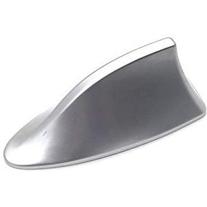 GPRTKULE Autoradio antennes FM/AM-signaal beschermend/geschikt voor Koleos Twingo Scenic Fluenec Latitude Clio 1 2 3 4 (Zilver)