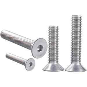 1-20 stuks M3/M4/M5/M6/M8/M10 roestvrij staal 316 schroeven met lenskop en binnenzeskantgleuf M3 x 20 mm
