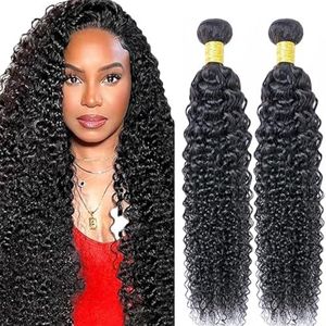 Lakaisa Curly Wave Human Hair Bundles Sew in Hair Natural Black Real Hair Extensions 2 Bundles Unprocessed Virgin Human Hair Minimal Smell Low Shedding for Women 14 14 Inch