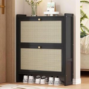 Schoenenkast, schoenenkast met 4 kleppen, schoenenkast met 8 instelbare