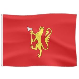Middeleeuws wapenschild vlag voor outdoor fun historische vlag (Koninkrijk Noorwegen)