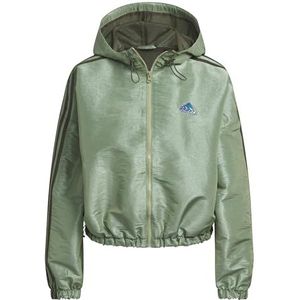 adidas Sunglass-pack Woven Jacket voor dames, bovenkleding, Tent groen, L