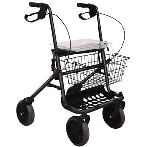 Rehaforum Rollator met Eurorem zilver