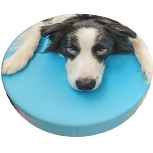 GRatka Hoes voor ronde kruk, barstoelhoes, hotel, antislip zitkussen, 33 cm, grappige puppy hond border, collie, blauwe achtergrond