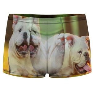 Engelse Bulldog Herfst Heren Boxer Slips Sexy Shorts Mesh Boxers Ondergoed Ademend Onderbroek Thong