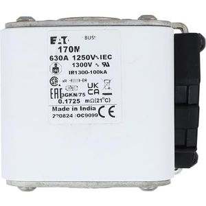 Originele zekering 170M6597