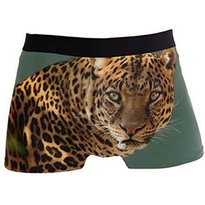 hengpai Jaguar Wild Cat Face Prints Boxerslip voor heren, zacht ondergoed met korte pijpen, Meerkleurig1, XL