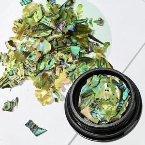 Natuurlijke Abalone schelp plakjes Nail Art decoraties 3D onregelmatige schelp stenen vlokken Aurora Charms Fragment nagels accessoires-02