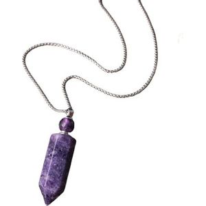 Gefacetteerde zeshoek natuurlijke edelstenen steen parfumfles hanger ketting vrouwen kristal steen roestvrijstalen sieraden (Color : PurpleFluoriteSilver)