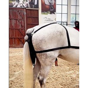 YKMYXZ, Gemakkelijk te monteren paardenmestzak, lichtgewicht paardenpoepzak for op straat, bruiloftsparades en schilderachtige gebieden(S)