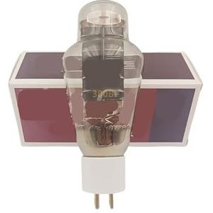 300B+ 300B Plus buis vervangt WE300B 300BN 300BT HIFI audio buis versterker ondersteunt vier kanalen (Wit, 1 stuks)