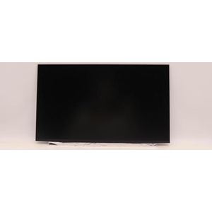 Lenovo - Thor DISPLAY - 15,6" HD TN - 220nit - 45%CG - Non-brac