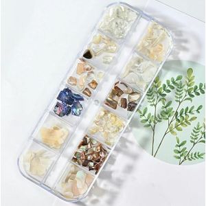 12Grids Nail Art Schelpvlokken Abalone Slice Natuurlijke Zeeschelp Steen Fragment Textuur Manicure Charms Nagel Paillette Decoratie #-PH027