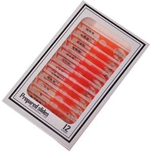 Microscoop accessoirekit 12 stuks plastic voorbereide microscoop folies Biologisch Experiment accessoires microscopische objectdragers (kleur: rood)