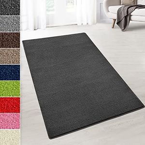 Velours tapijt Dynasty | Duurzaam en gemakkelijk te onderhouden | Pluizige velours pool | Verkrijgbaar in vele kleuren en maten (antraciet, 80 x 200 cm)