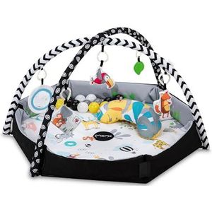 MoMi BESTO Speelboog voor baby's vanaf de geboorte, 3-in-1-set: kruipdeken 100 x 113 cm met omranding en foto-achtergrond, ballenbad met 30 ballen, 6 speelgoed, kussens, wasbaar