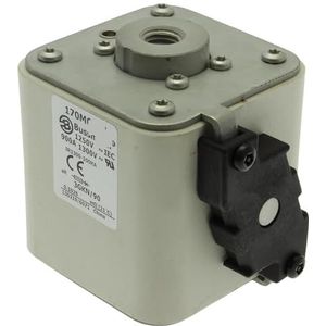 Originele zekering 170M6648