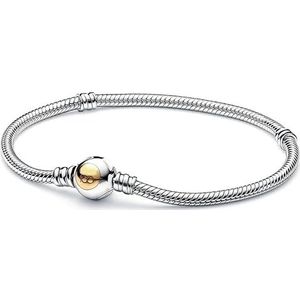 Vredesknoop T-vorm hart klinknagel slang kettingarmband 925 zilveren armband voorzien van sieraden DIY sieraden (Color : 1, Size : 21cm)