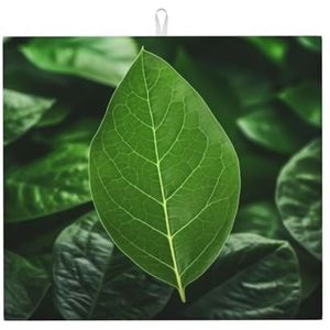 Green Leaf Nature Droogmat voor keuken, het midden is gemaakt van composiet sponzen, microvezel absorberend, opvouwbaar en hangbaar voor afdruiprek, babyflessen koffiepads 40 x 45 cm