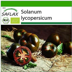 SAFLAX - Bio - Tomaat - Zwarte Kers - 10 Zaden - Solanum lycopersicum