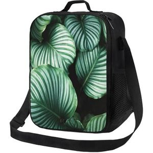 EgoMed Lunchtas, duurzame geïsoleerde lunchbox herbruikbare draagtas koeltas voor werk schoolgroene tropische plantenbladeren bedrukt