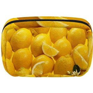 Cosmetische Rits Pouch Make-up Bag Reizen Waterdichte Toiletry Zakken voor Vrouwen Fruit Citroenen Textuur Geel, Meerkleurig, 17.5x7x10.5cm/6.9x4.1x2.8in