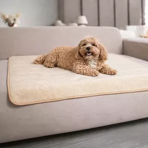 Dreamzie Beige Autodeken kopen? | Vergelijk de beste