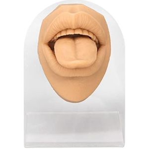 Tongmodel, Zeer Simulatie Tongmondmodel met Acrylbeugel voor Onderzoek (Huidskleur)
