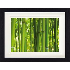 1art1 Bamboe Poster Bamboo Forest Ingelijste Foto Met Passepartout | Muur Foto's | In Een Fotolijstje 40x30 cm