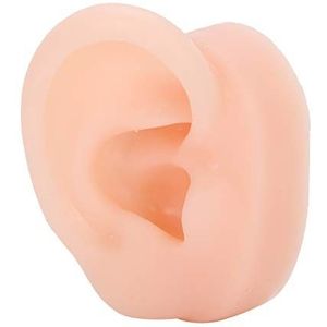 Menselijk oormodel, rechteroormodel, gesimuleerde oorindrukken Oefeningen Apotheken voor demonstratie van het dragen van gehoorapparaten Etalages