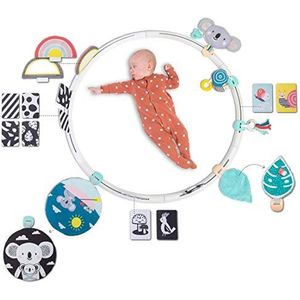 Taftoys Babyhoepel met activiteiten